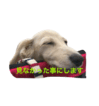 カニンヘンと（個別スタンプ：6）