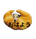 カニンヘンと（個別スタンプ：7）
