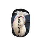 カニンヘンと（個別スタンプ：15）