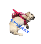カニンヘンと（個別スタンプ：16）