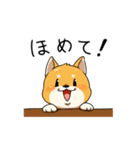 戌年！わんこ集合（個別スタンプ：12）