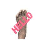 Friend's feet（個別スタンプ：2）