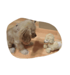 cute puppy "storm"（個別スタンプ：6）