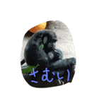 kazuyaw2（個別スタンプ：2）