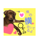 まつスタンプ（個別スタンプ：2）
