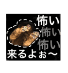 まつスタンプ（個別スタンプ：6）