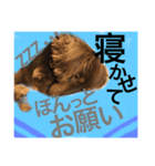 まつスタンプ（個別スタンプ：7）