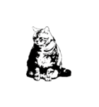 Faaaaaat Cat（個別スタンプ：5）