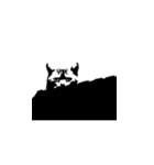 Faaaaaat Cat（個別スタンプ：6）