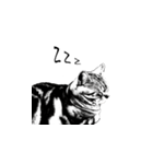 Faaaaaat Cat（個別スタンプ：7）
