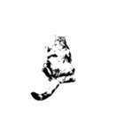 Faaaaaat Cat（個別スタンプ：16）