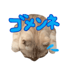 猫のさくたろう1（個別スタンプ：3）