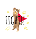 猫のさくたろう1（個別スタンプ：24）