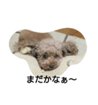 あかねちゃんです（個別スタンプ：1）