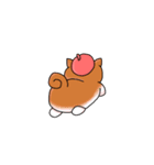 そう太くん（個別スタンプ：34）