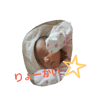 RITSUKI.com（個別スタンプ：8）