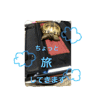リクガメのカスピ（個別スタンプ：11）