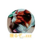kikujiro（個別スタンプ：1）