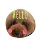 ハッピープリンだよ〜（個別スタンプ：1）
