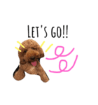 ハッピープリンだよ〜（個別スタンプ：5）