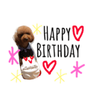 ハッピープリンだよ〜（個別スタンプ：13）