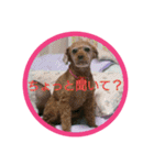 ゆきしろ（個別スタンプ：11）
