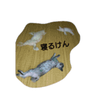 銀太郎と虎雄と（個別スタンプ：6）