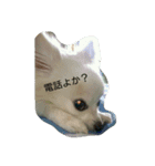 銀太郎と虎雄と（個別スタンプ：14）