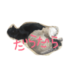あんちょびおりーぶ（個別スタンプ：3）