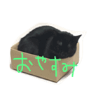 あんちょびおりーぶ（個別スタンプ：9）