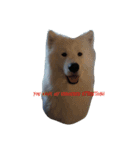 FurBaeBae（個別スタンプ：3）