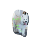 FurBaeBae（個別スタンプ：4）