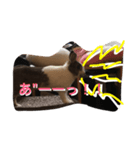 うさぎのランドさん 待望の第3弾！！ #rabbit（個別スタンプ：5）
