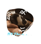 うさぎのランドさん 待望の第3弾！！ #rabbit（個別スタンプ：8）
