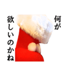 【実写】Xmas靴下（個別スタンプ：5）