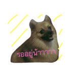 Fat PP V.1（個別スタンプ：2）