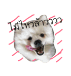 Fat PP V.1（個別スタンプ：3）