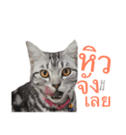 Maew Nxy Khawpun ＆ Friends（個別スタンプ：4）
