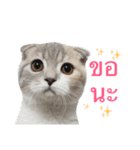 Maew Nxy Khawpun ＆ Friends（個別スタンプ：9）