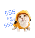 Maew Nxy Khawpun ＆ Friends（個別スタンプ：14）
