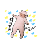 yzchs（個別スタンプ：4）