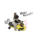 yzchs（個別スタンプ：8）