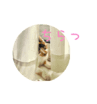 ゆらりんスタンプver.1（個別スタンプ：1）