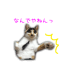 ゆらりんスタンプver.1（個別スタンプ：2）