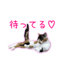 ゆらりんスタンプver.1（個別スタンプ：4）