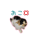 ゆらりんスタンプver.1（個別スタンプ：6）