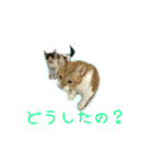 ゆらりんスタンプver.1（個別スタンプ：7）