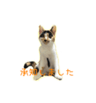 ゆらりんスタンプver.1（個別スタンプ：9）