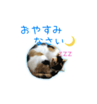 ゆらりんスタンプver.1（個別スタンプ：11）