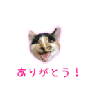 ゆらりんスタンプver.1（個別スタンプ：12）